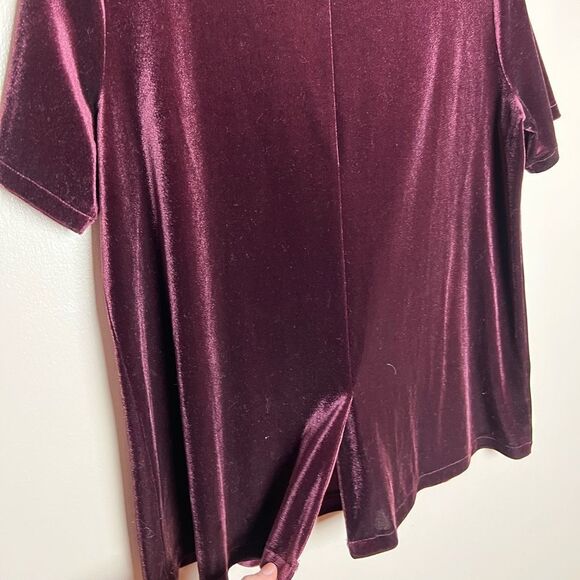 CLEARANCE! Burgundy Ann Taylor Velour S/S Top Size M - Picture 4 of 5